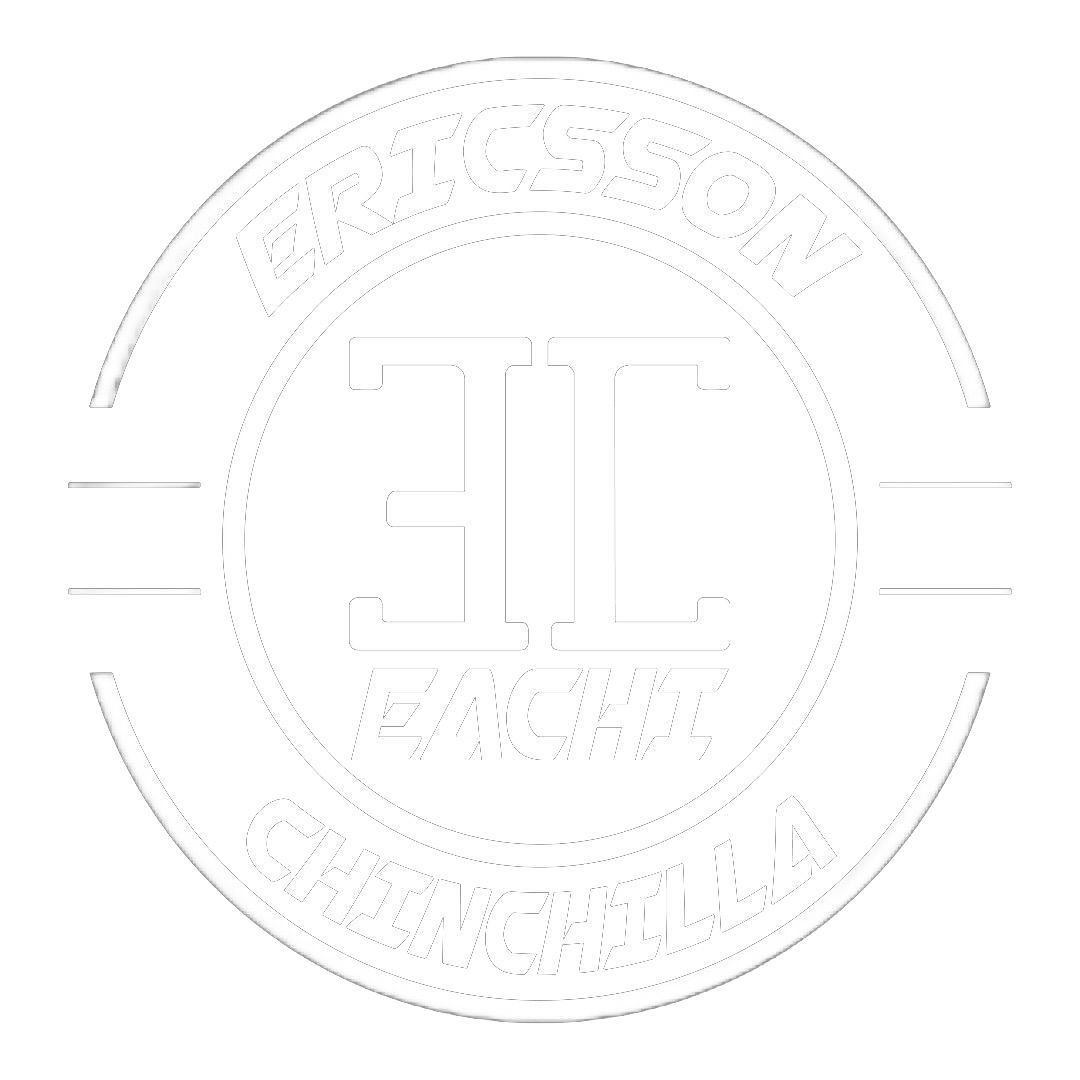 Logo de Eachiplus